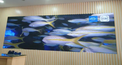 LED P2.5 Indoor BPD DIY Yogya